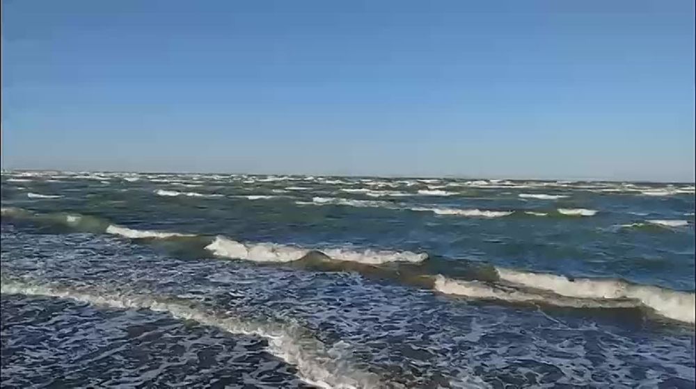 �������� ���� ���������� ������� ������