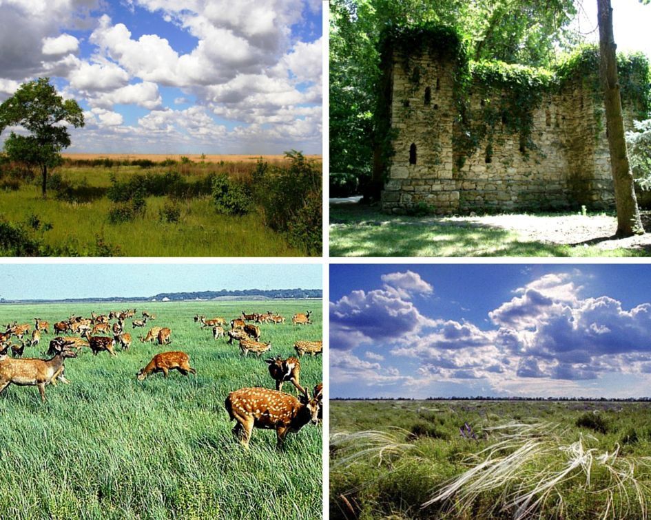 ����� ����������: ������ ����, ������!. ����������� � ��������� ���������� ����������� �������-���� ���������� ������� � �� ������ ���� #������������������