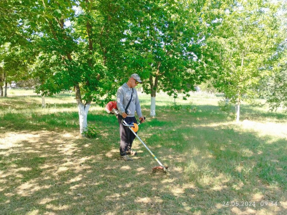 ��������� ���������������� ���������� �������� ������� ������ �� ���������� ���� ��������