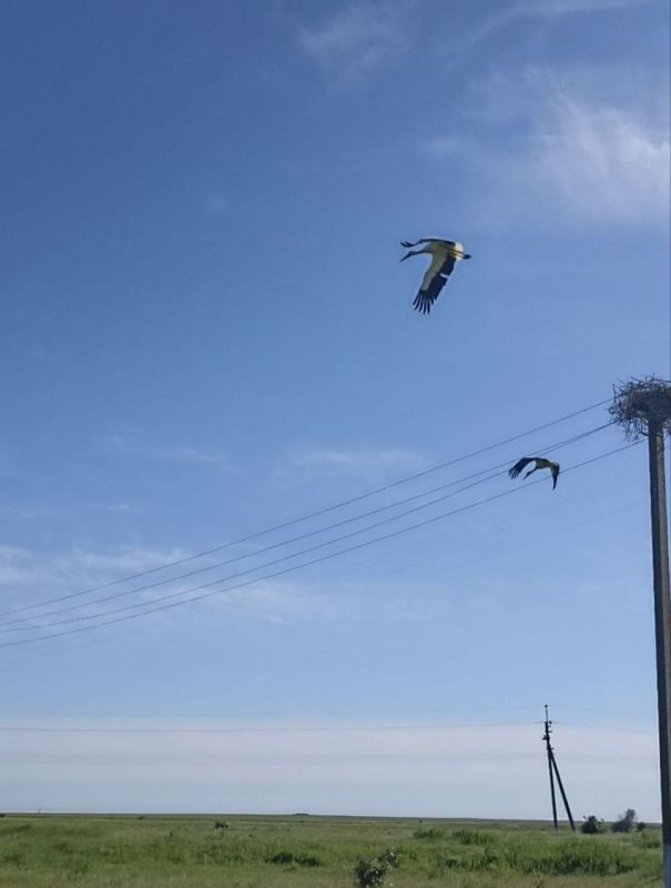 �� ������ � ���� ������� ����� ����� ������