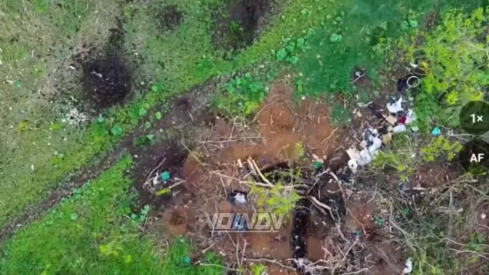 ��������� ���� ���������� �������� ������� ������ ���