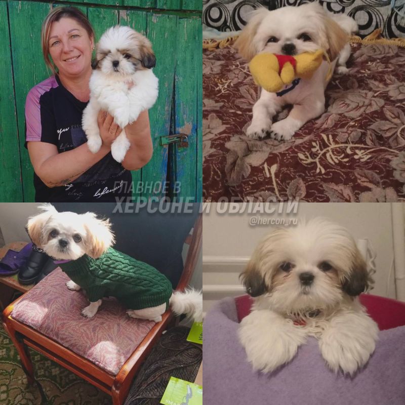 �������, ������ ���� � ����� ��������� ������� � ��� ���� �������� ���� ������ �� ��������