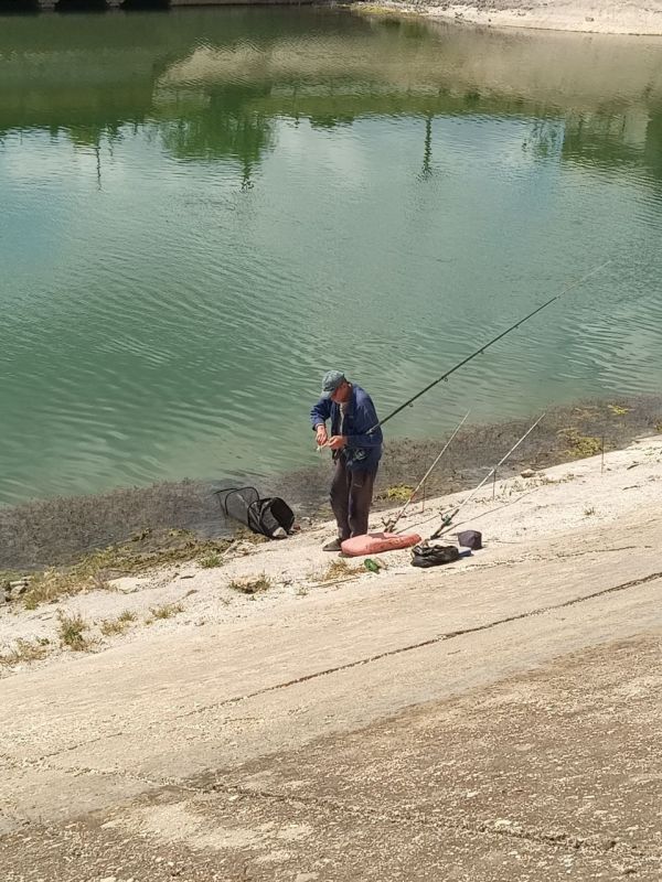 ��� ���� ��������? ����� �����? ����� ������? ���� ������?