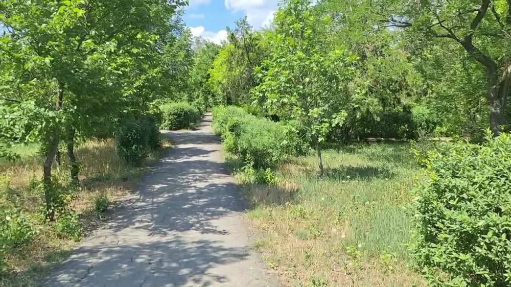 ������� ������ ����������� ������!