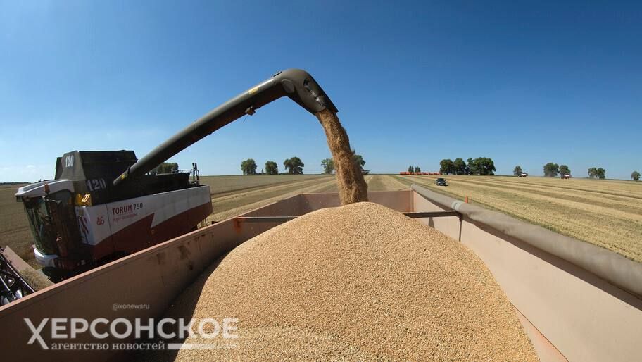 ���������������� ������ ��������� �� �������� ����������� ������������ ���������