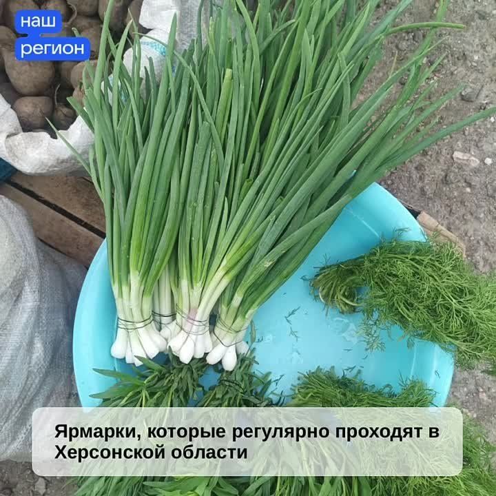 ������� ������ �������. �� ��������� ������ ���������� ����������� ������ � ����������, ������������, ����������, ����������������� � ���������������� ������������� �������, �� ���� �������� � ������������ �������������� � �������� ���������� �������