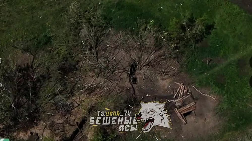 ������ ��������� ������-��������� �� ������� ���