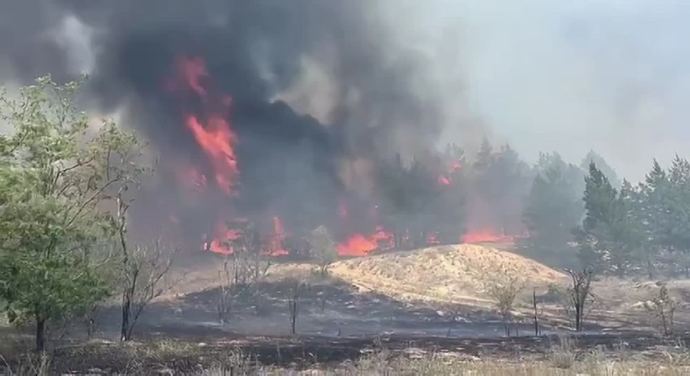 ������ � ����� � ����������� �����������