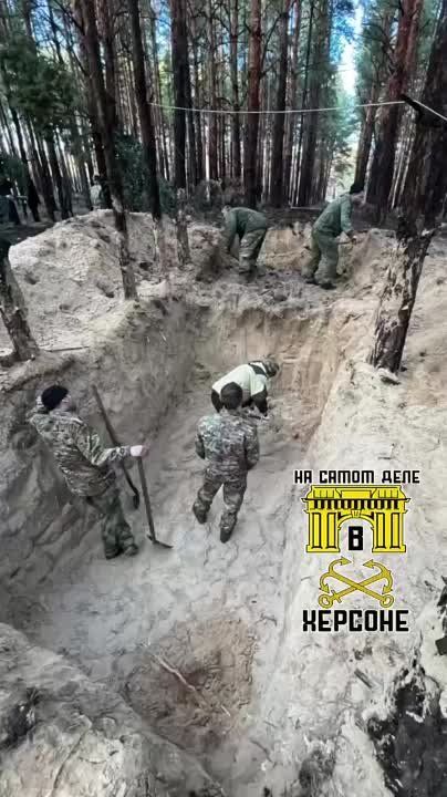 ��� ����� �������� � ����� ������