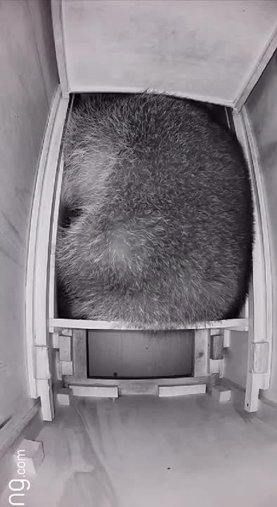 ��� �� �����? � ����� ���� ������, � ����� � ����������? ��� ������������: ���� �� �������, ��������� �� ����?