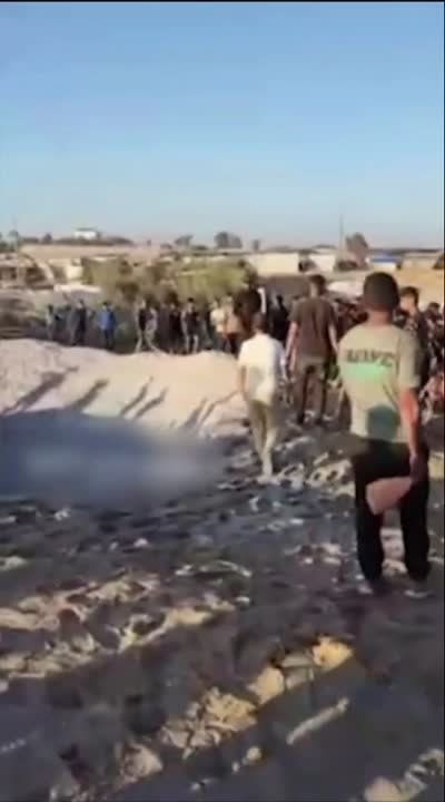 �������� ��� ����������� ����� ��������� ����� �� ����������� ������ � ���-�����, ������ ����