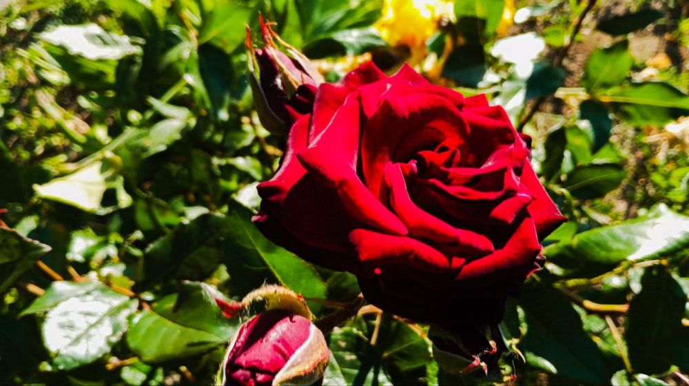 ���������� ����� ���. � ������ �����, ������! � ������� ��������� �����! ����� �� ��� ���� ����� ���� ��������? �� ������ ���� � � ����� ���������� �� �����, � ����� ������ �������� ����