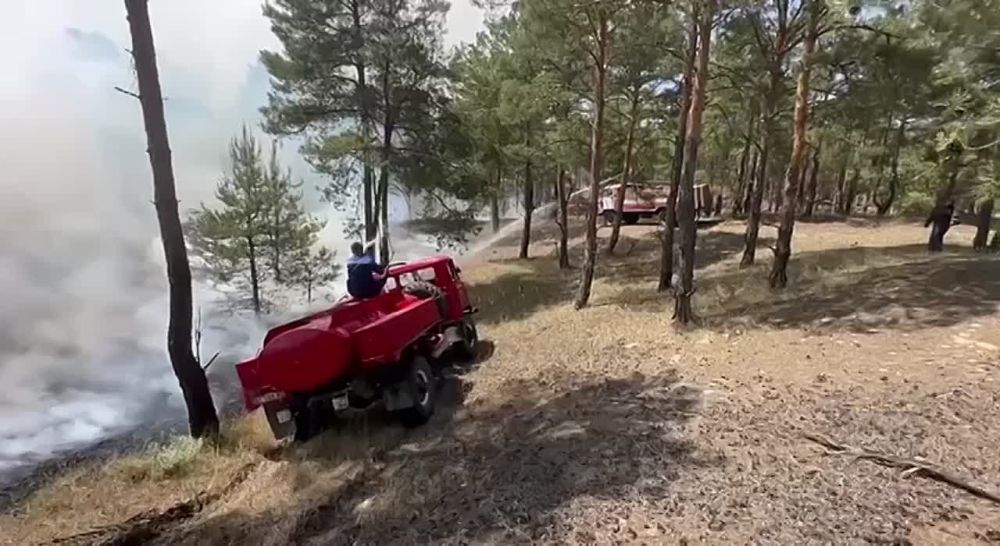 � ����������� ����������� ������������ ����������� �����