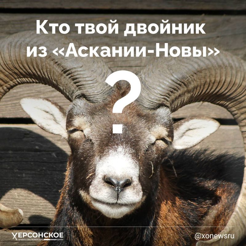 ������� ��������?. � ���������� ������� ��������� ���������� ���������� ��������-����, � ������� ��� �������� ����� �����...