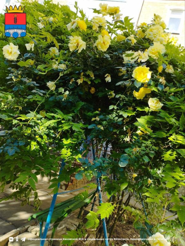 ������ ����, �������!. @VGA_Kakhovka