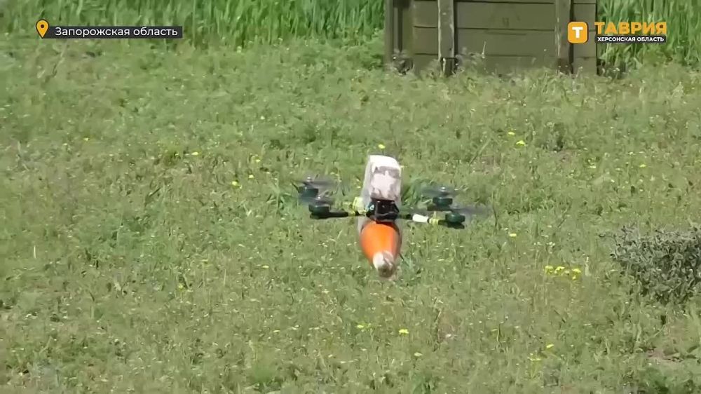 ��������� ���������������� � ������� ���-������ ����������� ����� "�����" �������� ������������� �������� � ����� ����