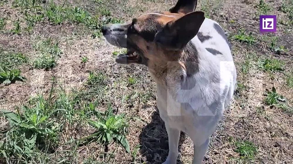 ������ ����� ������� ��� "���-�2", ������� ���� �������������� ��������� � �������� ������ �� �� ����������������