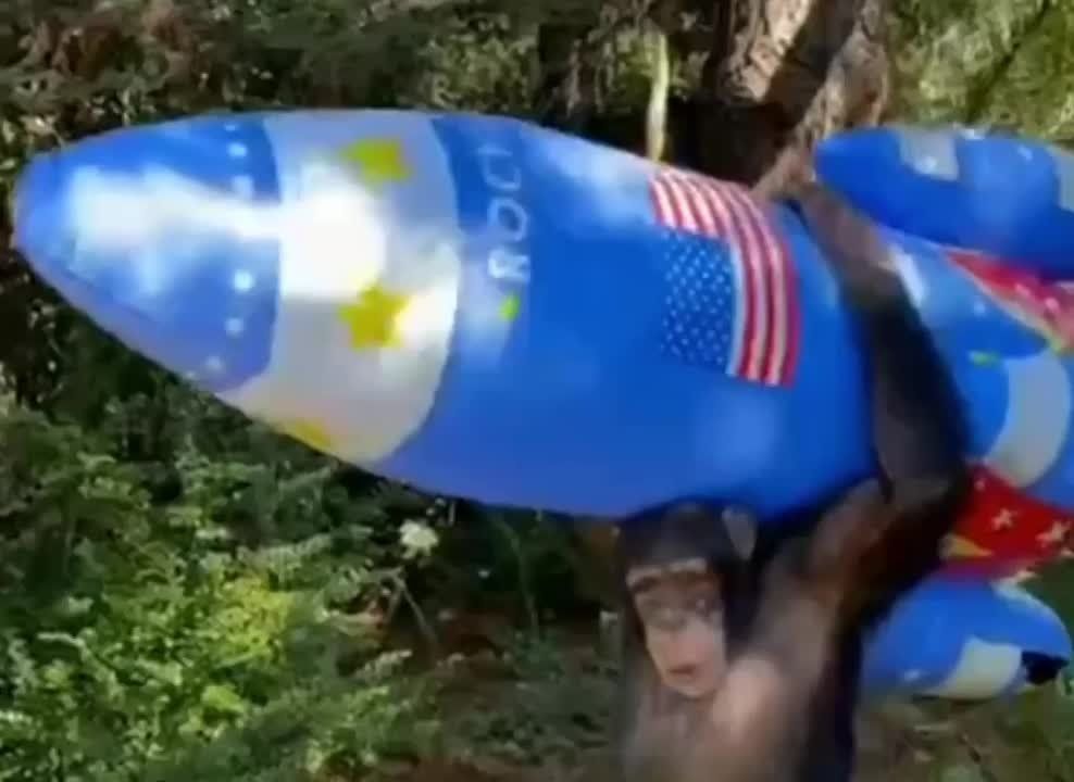 ��������� ������ ������ �� �������