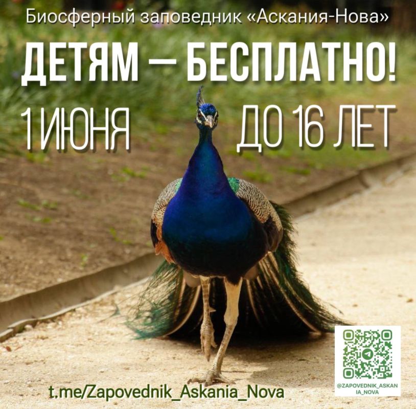 ����� � ���������!. � ������������� ���� ������ �����, ������������ �� 1 ����, ������ ���� ����, ������������ ����������� ����������� ��������-���� ������� ������� ������� ���������� ���� ��� ����� ��������� �� 16 ���