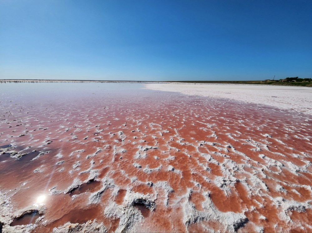 ��� ������: ������ ����������, ���������� �����, ���������� �������