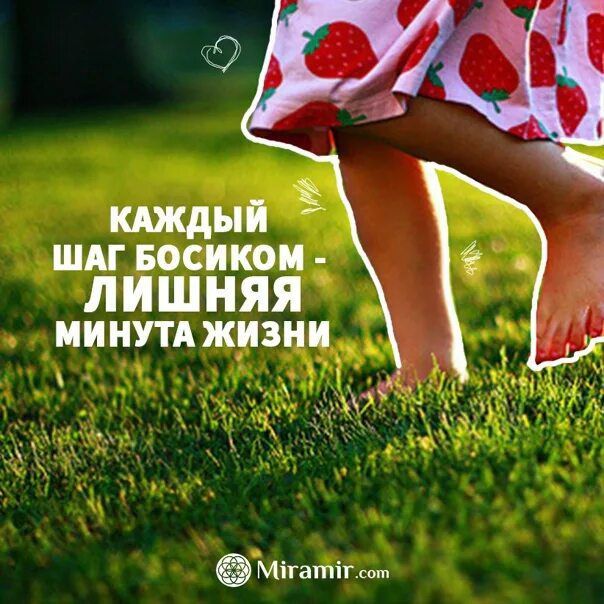 26 ��� � ���� �������� �������