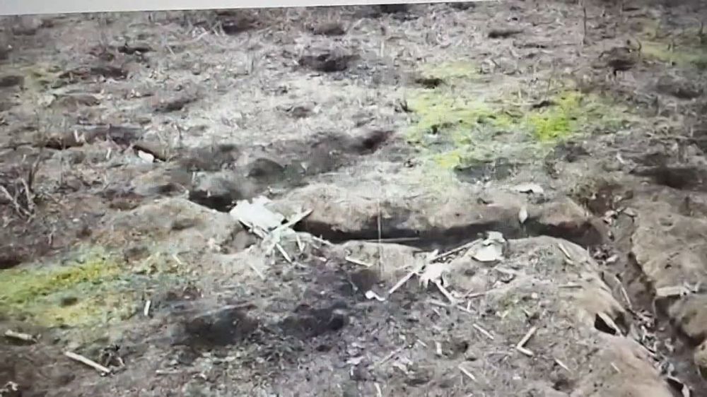 ���������� ������ ������������� ����� ���������� ���������� ���������������� � ������� ���-������ ����������� ����� ������