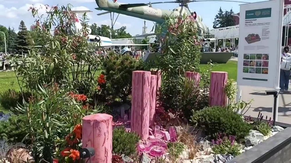 �� ��������-������ "������" ������ ������ ������ ������� ���� ������