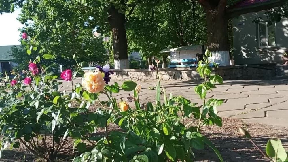 � ������ �����, �����������!