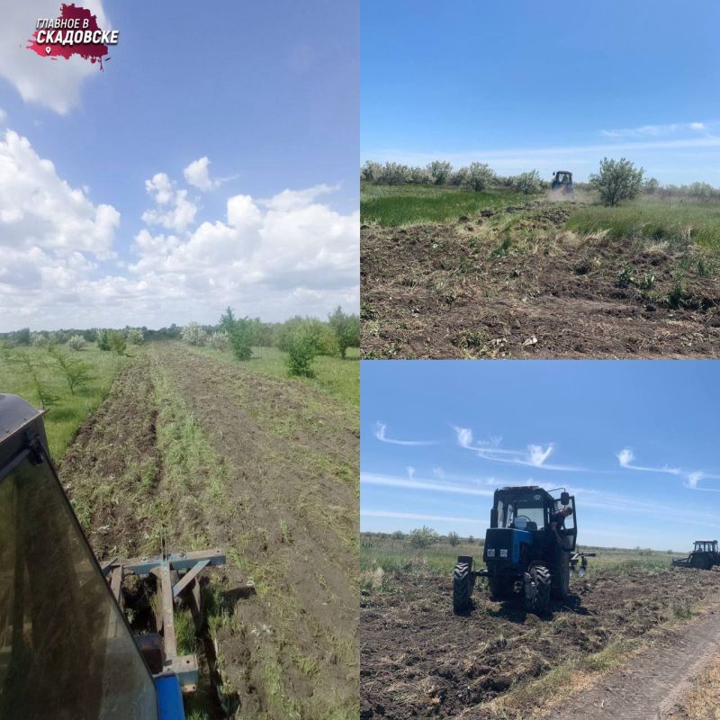 � ������������ ������ �������� ������ �� �������� ���������������� ����� � �� ����� ����������� �������� 45 ��