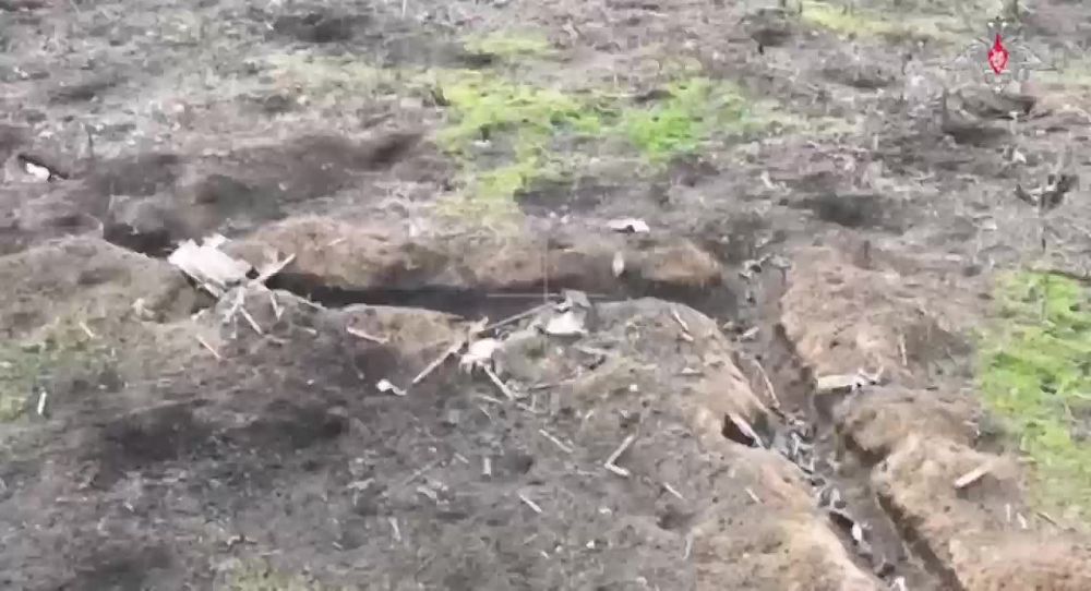 ����������� �������� ��������� �� ����� ����� �������-���������