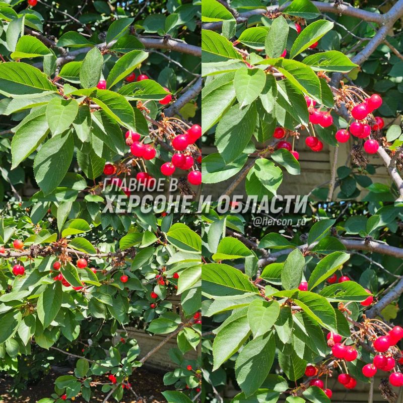 �������� �� ����� � ��������� ���� ���� ������������ ������� �����