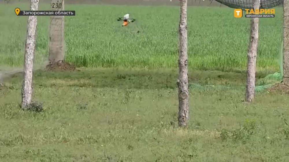 ��������� FPV-������ ����������� ����� ����� �������� �������� � ����� ����