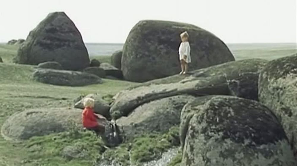 ��� ��� "��������" ����� ���������