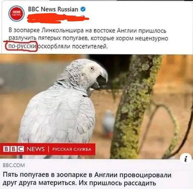 ������� �����������