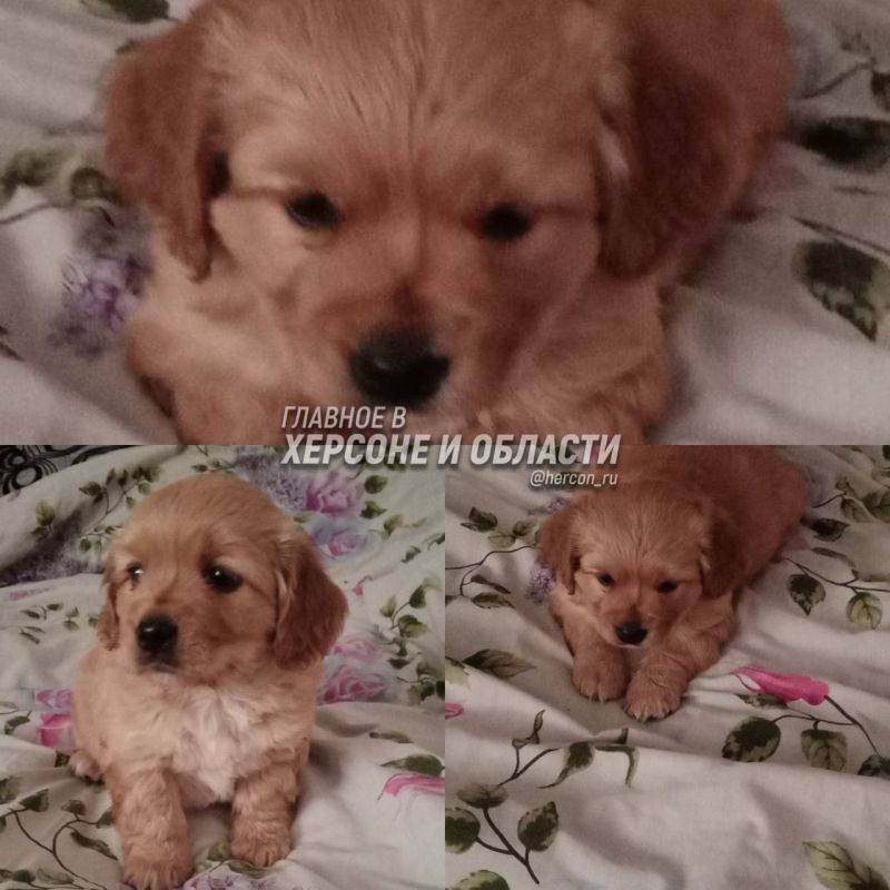 � ���������� ����� �� �������� ���������� � � ��� ��������� ��� ���� �������