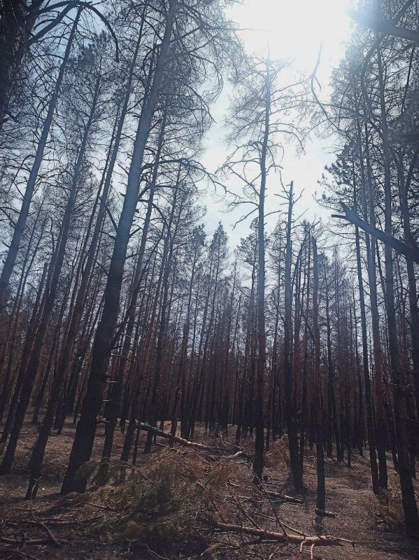 �� ������� ������ - ������� ������ 76 �������, ������ �� �����������, ����������� � ��������� ������������� ���������� � ������� � ���������� ������������ ��� ���-������