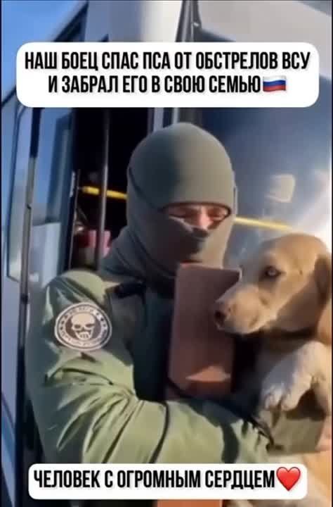 ���������� ���� ���� ����� ��-��� ��������� � ������ � �����