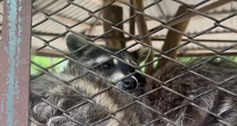 � �� ���� �� ���������� � ��������, ������� ������� � ���, ���������� � ��� ������ �������� � ��������