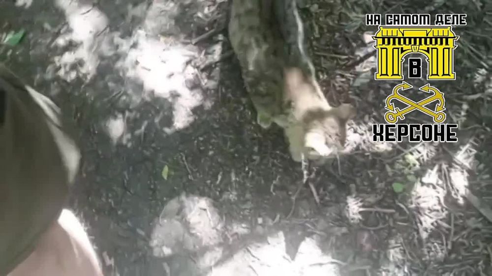 ����� �����, �� ������� �����, ��� ������ ������� ��������� ����� ������ �� �������