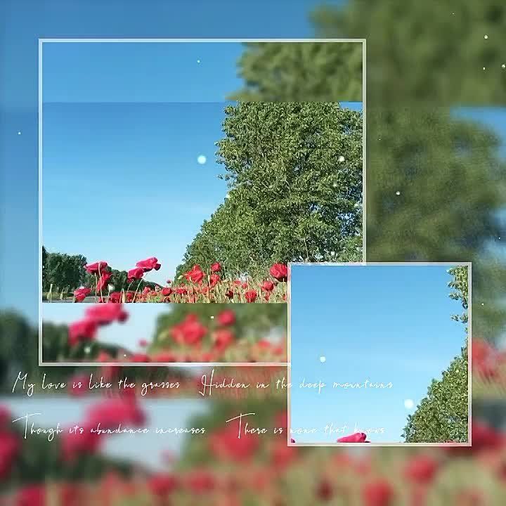 � ������ �����, �����������!