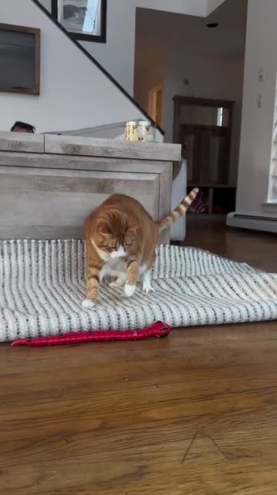 ��������� ���� ������!. ��������-����� ���������� �������