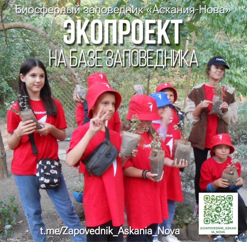 "���������� ������ ��������": ����� ������������� ������ � "�������-����"