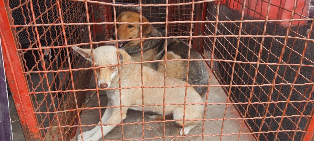 � ������������� ��������� ������ ���������� ����� ��������� �������� � ���������� �� � �����