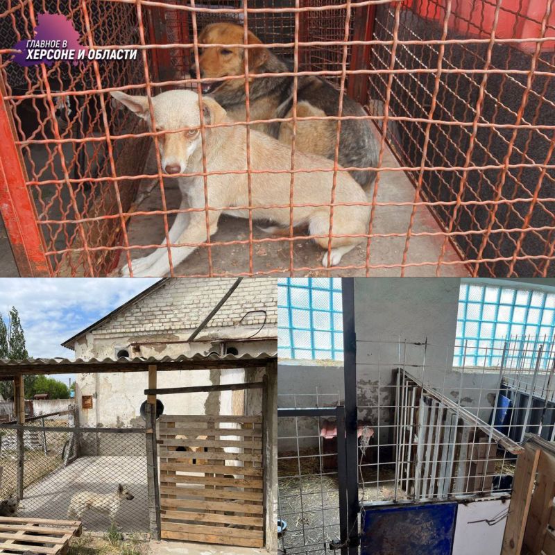 � ������������� ������ �������� ����� ��������� �������� � �� ��������� � ������