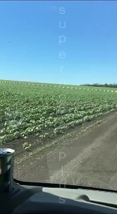 ��� ������ �� ��� ��� ����� ��������