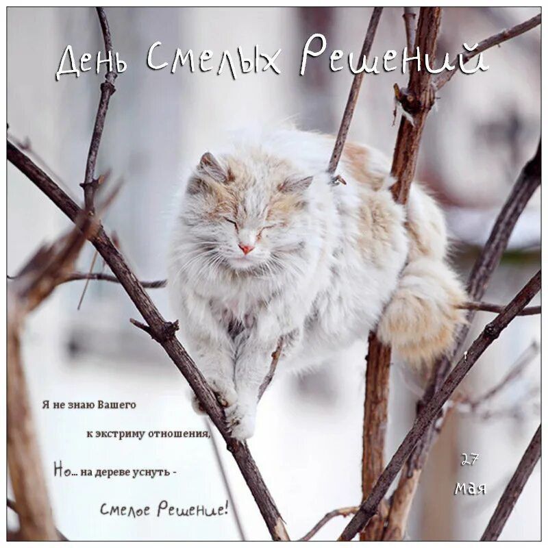 ��������� 27 ���. �������������� ���� ��������� (���� ������������)