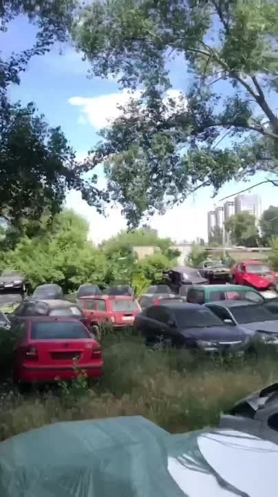 � ����� �� ������� �������� ���������� � ������� �����������, � ��������-������� ���������� ����, ��� ��������� ������ ��������� (�����������)