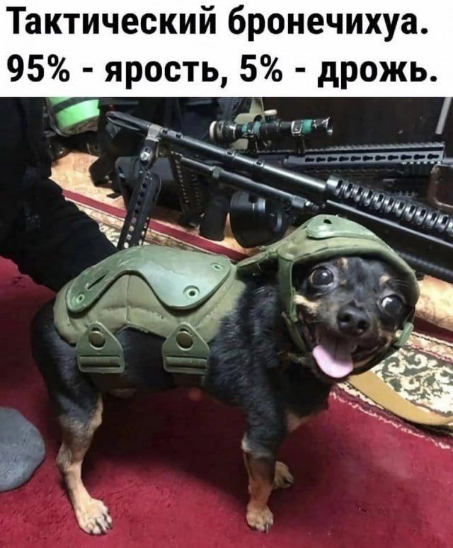 ������� �� ������... ����� �������� ������� ������, �� � �����������