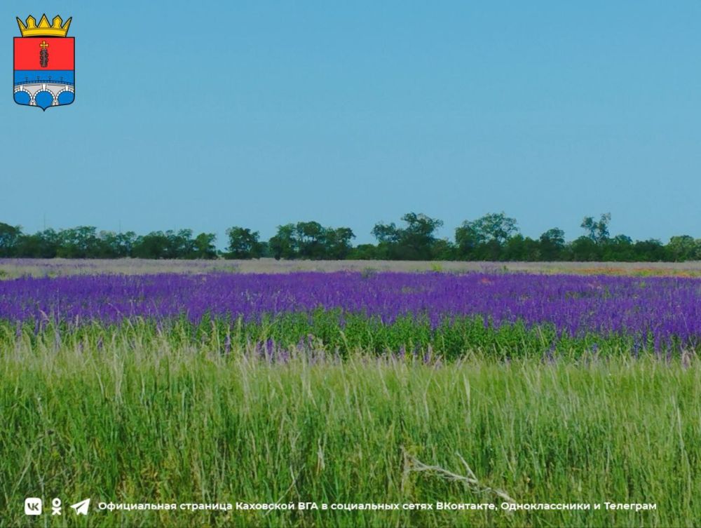 ������ ����, ������ ���������� �������������� ������!