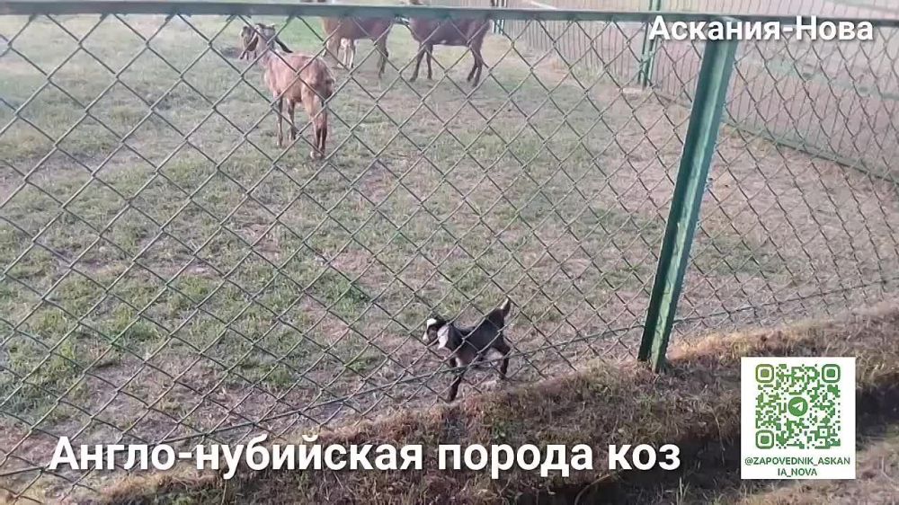 �������-����: ��������� ���������� � ��������� �����-��������� ������